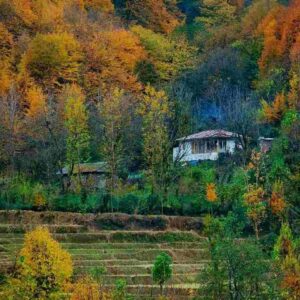 دانلود آهنگ شگی هی لیدی
